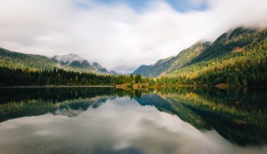 what vegetables grow best in the pacific northwest