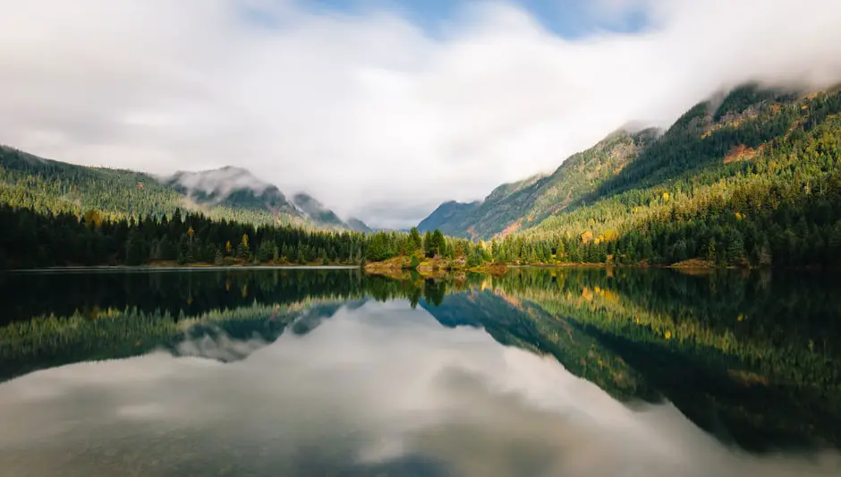 what vegetables grow best in the pacific northwest