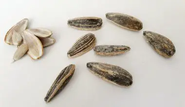 how to dehusk sunflower seeds
