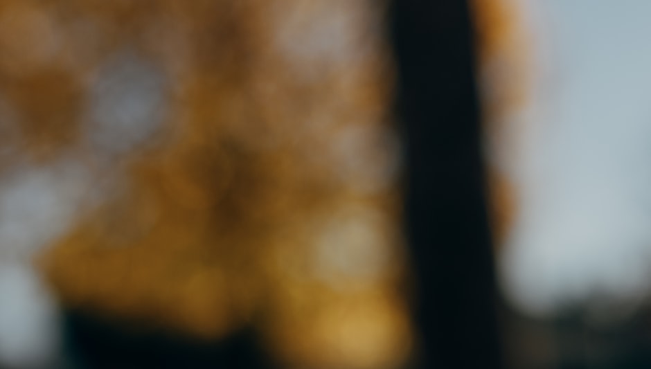 What Are Prunes Made Of? Everything You Need To Know