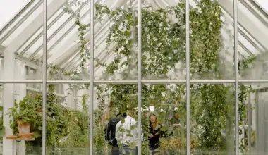 how to set up the inside of a greenhouse