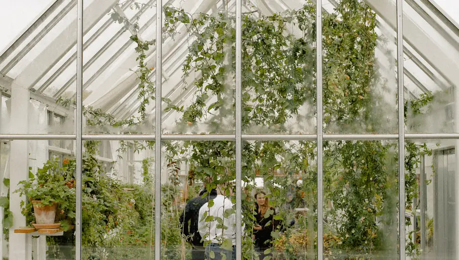 how to set up the inside of a greenhouse