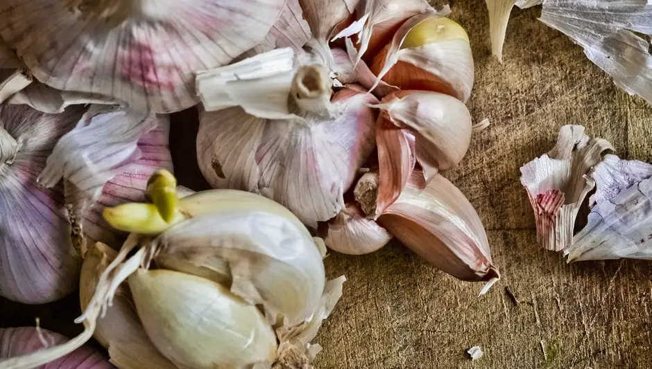 how to dry garlic after harvest