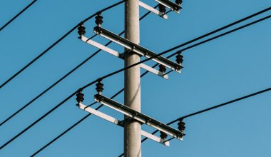 who is responsible for trimming trees near power lines