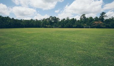 how often to cut grass