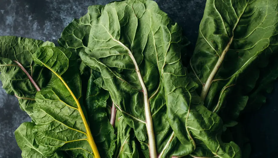 how to harvest rhubarb