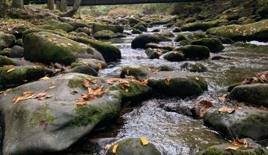 how does sediment loss affect land and soil quality