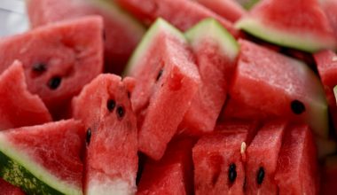 how to dry watermelon seeds to eat