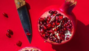 how to grow a pomegranate tree