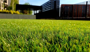 how long to let new grass grow before cutting