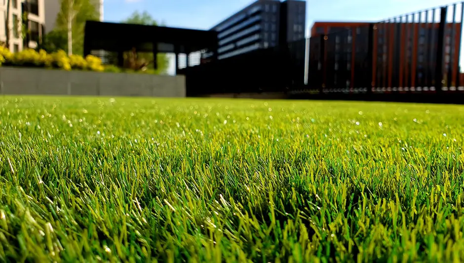 how long to let new grass grow before cutting