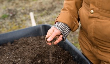 is top soil and garden soil the same