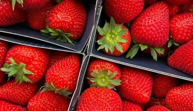 how long do strawberries take to grow hydroponically