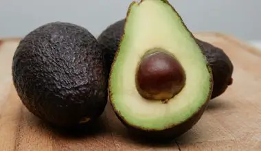 how to grow an avocado seed
