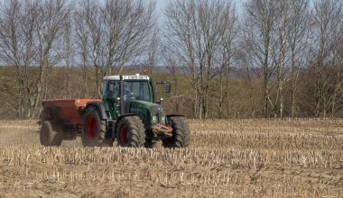 what spreader setting for grass seed