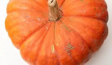 how to bake pumpkin seeds the best way