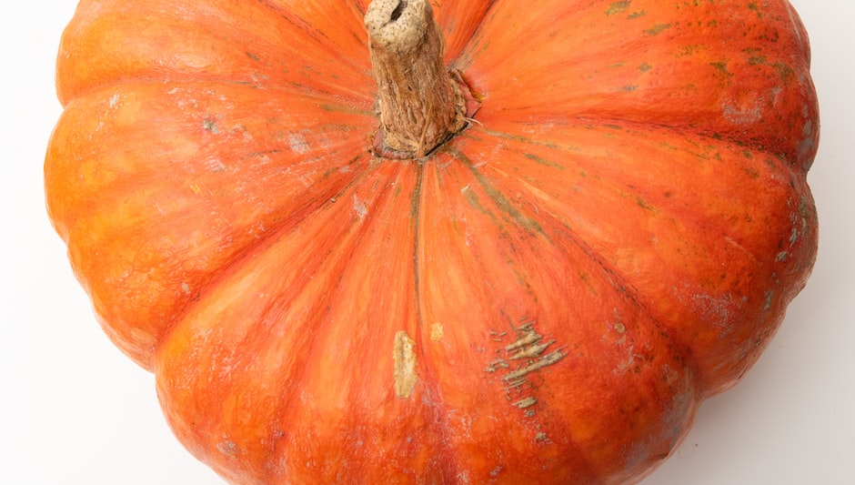 can you roast shelled pumpkin seeds