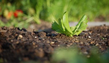 what is garden soil