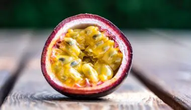 how does passion fruit grow