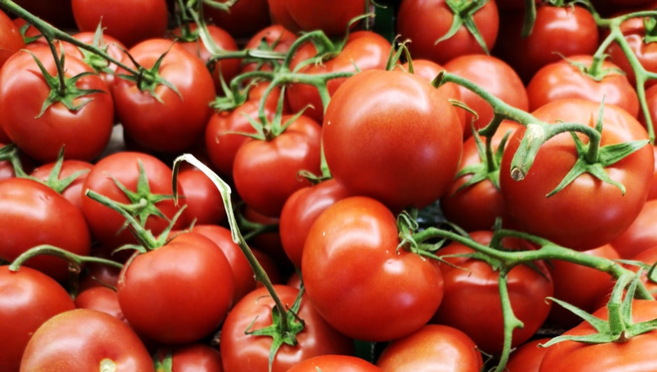 how to grow greenhouse tomatoes in winter