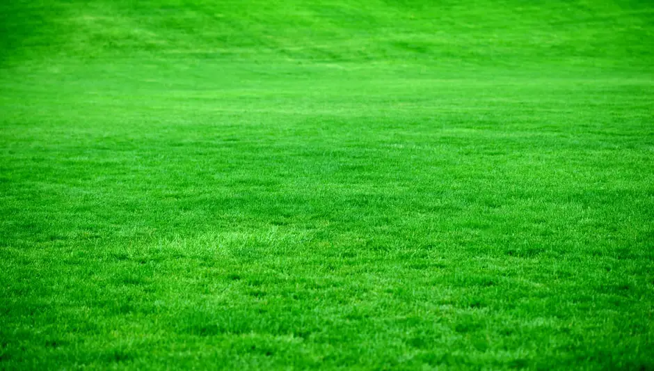 how to cut tall grass without a mower