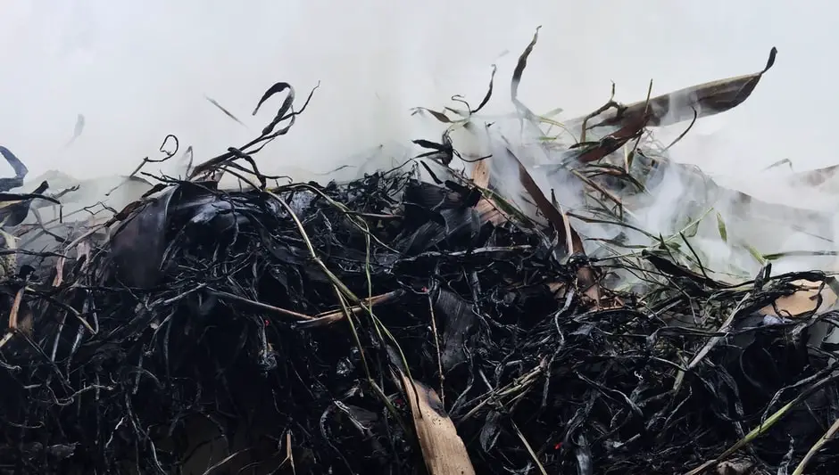 how to make good compost