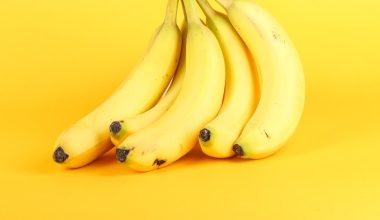 how to ripen bananas after harvest