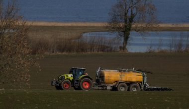 when to fertilize lawn in nc