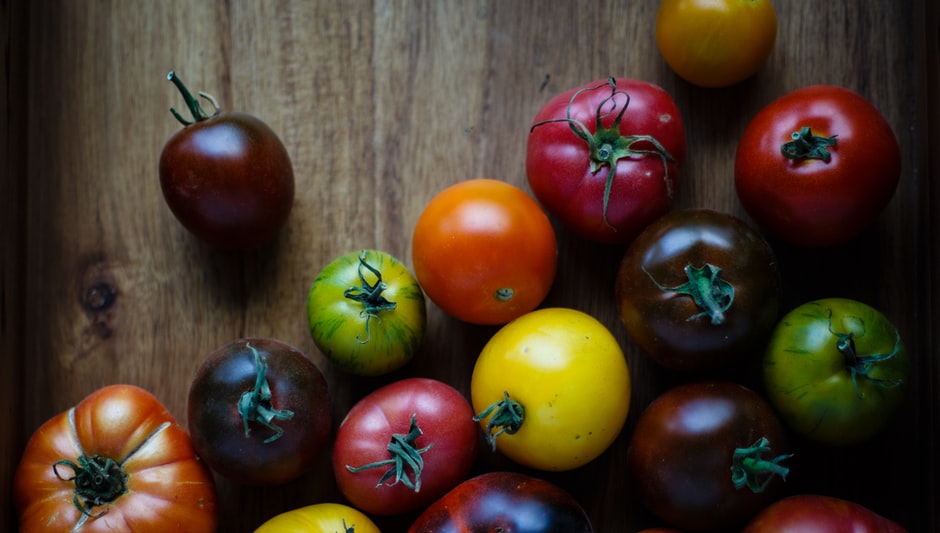 how to help my tomato plants grow