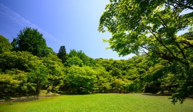 how long to water grass