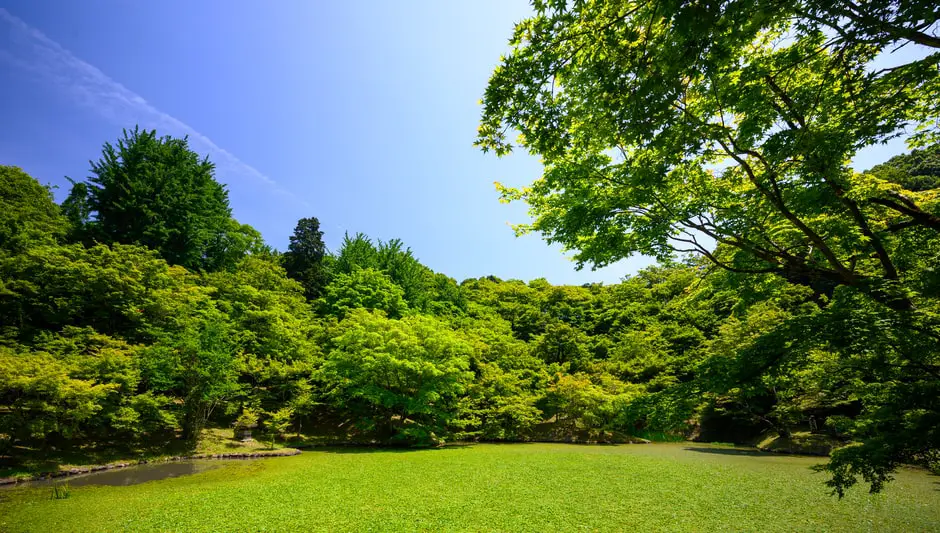 how long to water grass