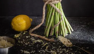 when can i plant asparagus in zone 5