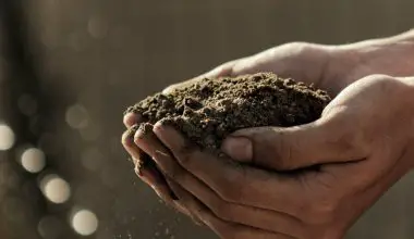 when to mix compost with soil