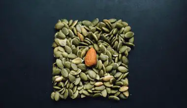 can you eat white pumpkin seeds