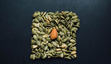 do pumpkin seeds go bad if left out