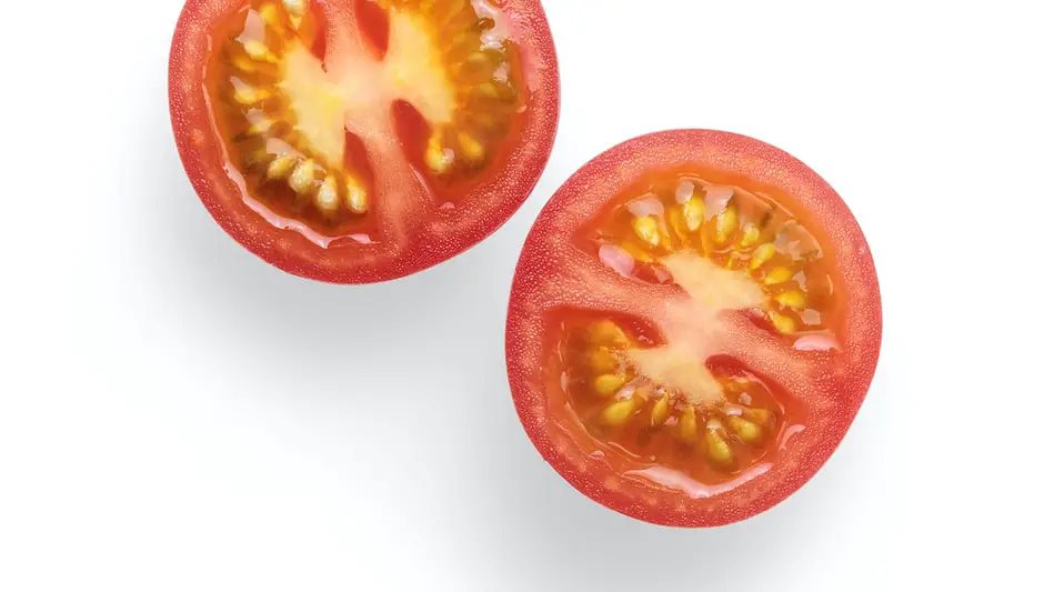 what do tomato seeds look like