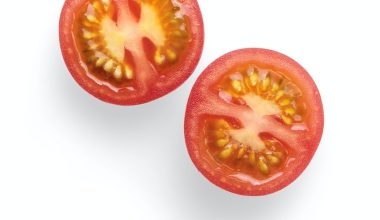how to prune tomato suckers