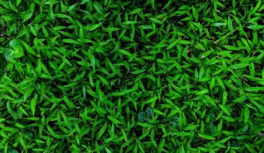 are lawn clippings good for compost