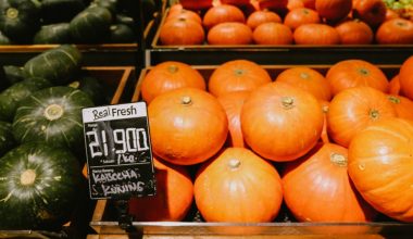 when to harvest kabocha squash