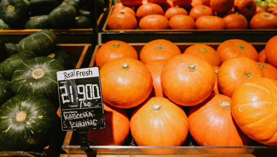 when to harvest kabocha squash