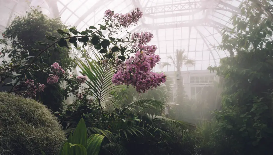 can you use double pane windows for a greenhouse