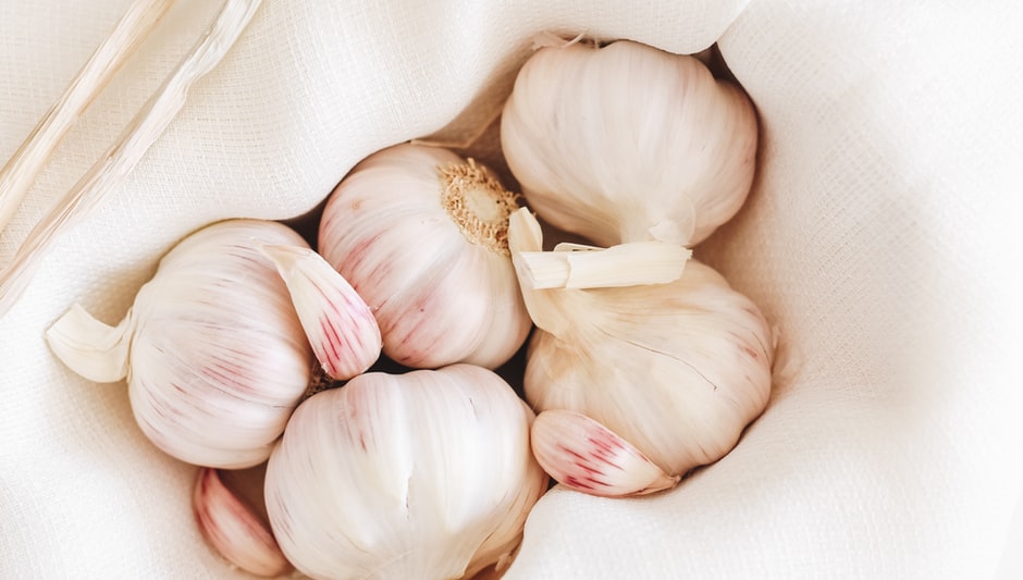 when to harvest garlic planted in november