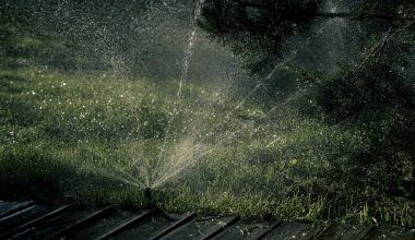 how to keep grass from growing over sprinkler heads