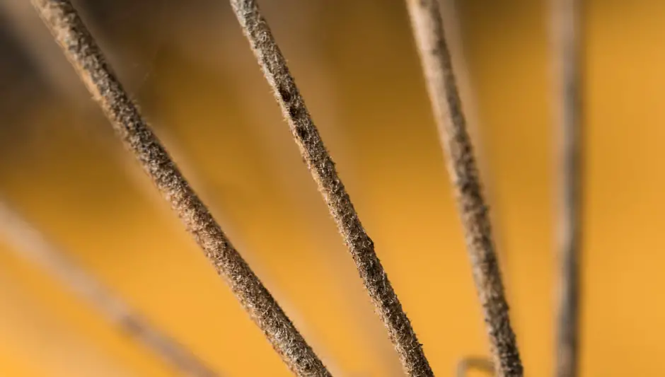 how to prune purple fountain grass video