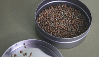 is hemp seed good for you