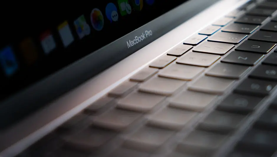 What Time Of Year To Prune Apple Trees? (Important Facts)