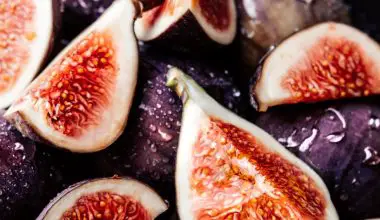do figs have seeds