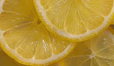 when to harvest meyer lemons
