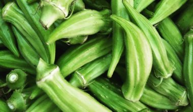 is okra a perennial