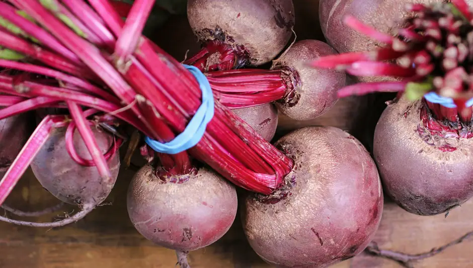 when can you plant beet seeds